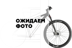 Горный велосипед WELT Ridge 1.1 D 29